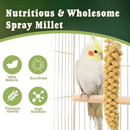 RANZ 5LBS Millet Spray for Birds, GMO-Free, Sun Dried Spray Millet, Original Bird Treats & Supplement for Parrots, Cockatiels, Lovebirds, Painted Buntings and Finches, Parakeets Food