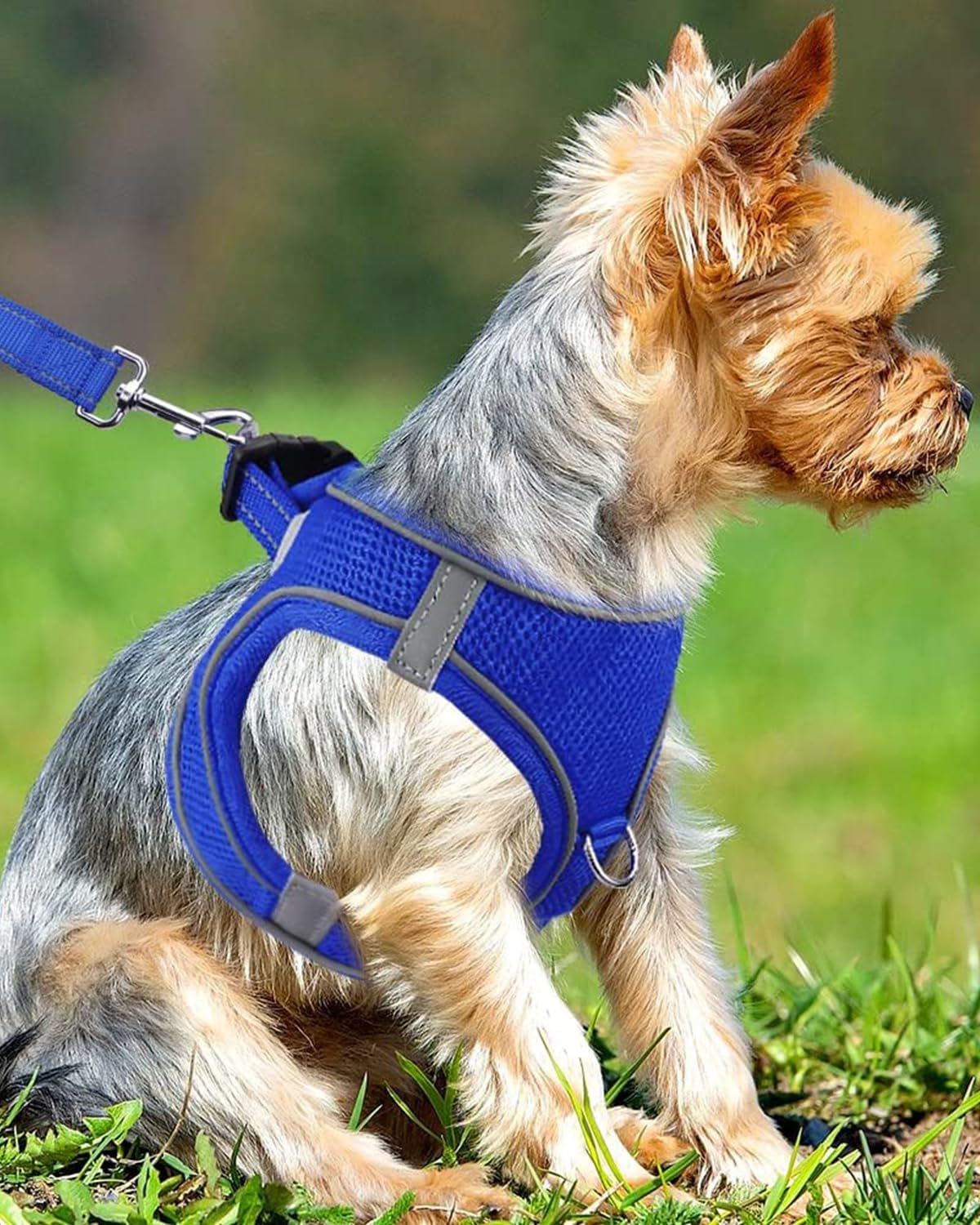 Joytale Small Dog Harness, Breathable Mesh Step-in Vest, Reflective Soft Padded Harnesses Small Sized Dog for Walking, Navy Blue, S