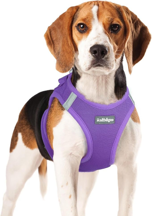 rabbitgoo Small Dog Harness, Step-in Soft Mesh Puppy Vest with Safety Buckle, Breathable Reflective Pet Harness for Small Medium Dogs, Purple XL