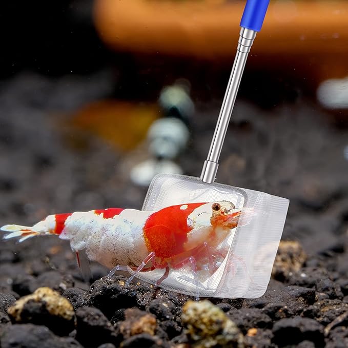 4 Pieces Fish Tank Shrimp Net Extendable Handle Shrimp Net Stainless Steel Small Aquarium Catch Mesh with Adjustable Handle for Aquarium Fish Tank Pond