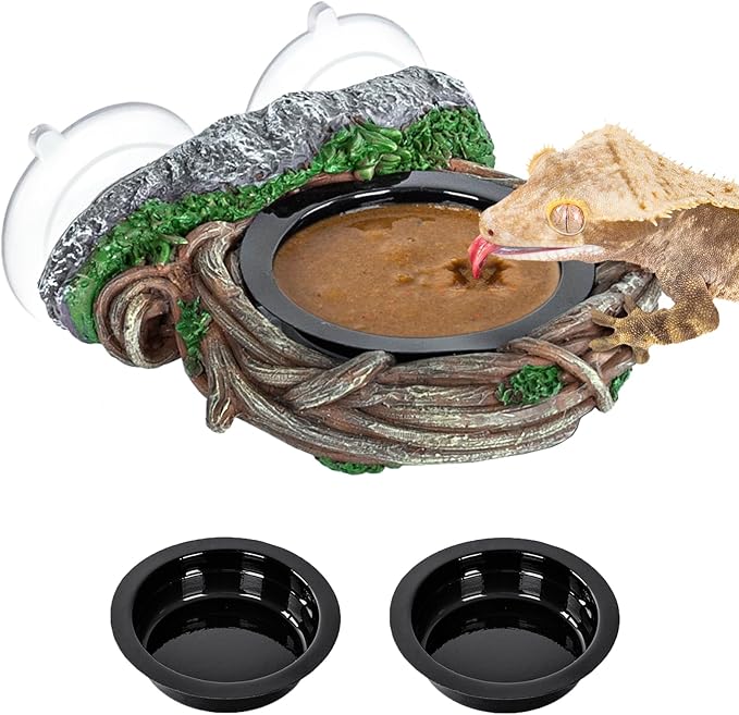 REPTI ZOO Crested Gecko Feeding Ledge, Reptile Water Food Dish for Bearded Dragon Lizard Snake Turtle, Vine Reptile Feeder Ledge Bowl with 2PCS Cups