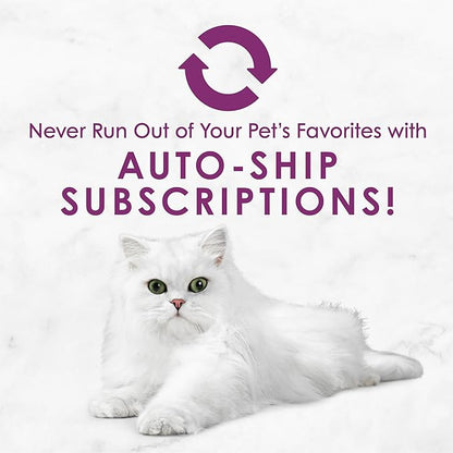 Purina Fancy Feast Savory Centers Wet Cat Food Pate Variety Pack With Chicken, Salmon, Beef, and Tuna Pate with Gravy Center - (2 Packs of 12) 3 oz. Pull-Top Cans