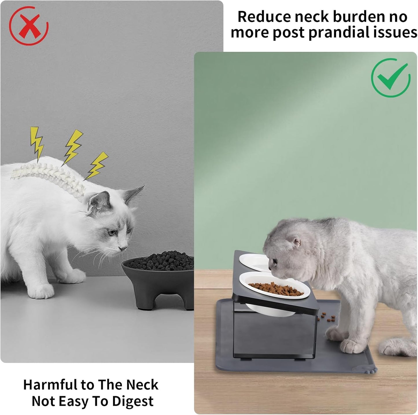 Elevated Whisker Friendly Cat Bowls, 15 Tilted Stand Anti Vomiting Raised Dishes for Food and Water,2 Ceramic Bowls for Cats and Puppy,Black