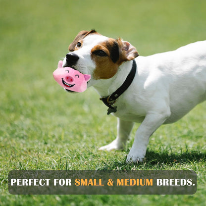 Jalousie Dog Squeaky Toys Value Set Non-Toxic Squeaky Balls Toss Fetch TPR Rubber Puppy Toys Spikey Dog Chew Toy for Small Medium Breed Pet Toys for Puppy (Panda N' Rabbit)