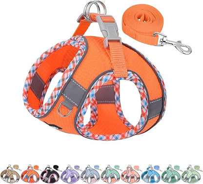 AIITLE Dog Harness and Leash Set - Ultra-Comfortable XXS-XL Vest with Strong Magic Tape & Glow-in-Dark Reflective Strips, Chafe-Free for Teddy, Schnauzer (Orange, M)