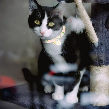 4 Pack Cotton Breakaway Cat Collar with Bell,Safety Adjustable Cat Collars Set with Flower Pendant,Ideal for Girl Cats Boy Cats
