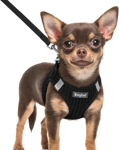 Eagloo Small Dog Harness and Leash Set, Step in Puppy Vest with Breathable Soft Mesh, Walking Reflective Pet Harness for Extra Small Dogs, Black, XXS
