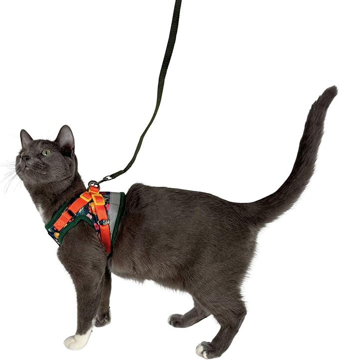 Travel Cat Harness and Leash Set - Adjustable Fit Mesh Cat Harness and Reflective Strap - Comfort Walking Vest for Kitten for Outdoor Walking, Hiking (Medium, Hawaiian)
