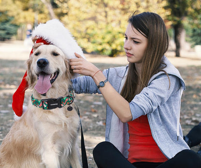 DOGWONG Christmas Cotton Dog Collar, Green Santa Christmas Dog Collar Durable Soft Fabric Pet Dog Collars Cute Puppy Necklace for Small Medium Large Dogs
