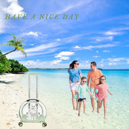 Transparent & Fully Breathable Hard cat Carrier with Rolling Wheels for Dogs, Cats, Multiple Carrying Options, Perfect for Traveling/Taking a Walk