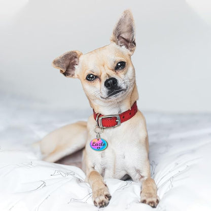 Anavia Small Size Dog Cat ID Tags, Small/XS Personalized Color Plated Stainless Steel Puppy Kitten Name Tags, Customized Engraved Nameplate Pet Collar Tag (Rainbow, Oval)