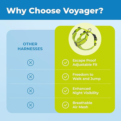 Best Pet Supplies Voyager Escape Proof Cat Harness and Leash Set with Reflective Stitching, Neoprene Handle 5ft - Supports Small, Medium and Large Cats, Kittens - Lime, M (Chest: 16.5-19.5")