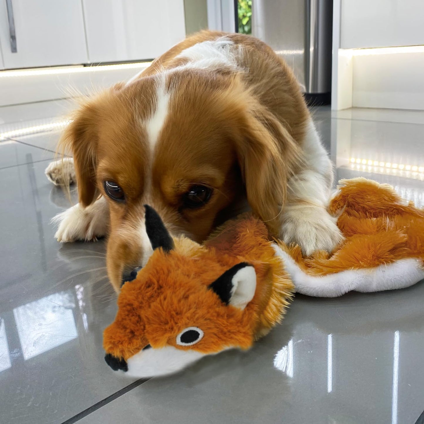 Best Pet Supplies Squeaky Dog Toys with Soft Durable Fabric for Small, Medium and Large Pets Interactive Toy for Indoor Play, Supports Active Biting and Play - Fox, Small