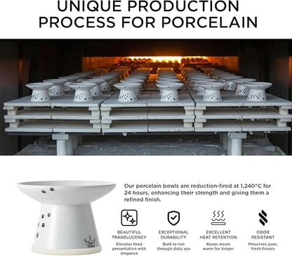 Necoichi Raised Cat Food Bowl – Ceramic Elevated Cat Bowl for Whisker & Neck Fatigue, Dishwasher Microwave Safe – Non-Slip & Anti Vomiting Ergonomic Design (Cats, Extra Wide)