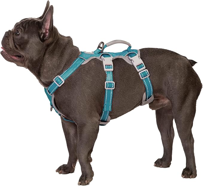 Huntboo Escape Proof Dog Harness, Escape Artist Harness, Fully Reflective Harness with Padded Handle, Breathable, Durable, Adjustable Vest for Small Dogs Walking, Training, and Running Gear (Teal,S)