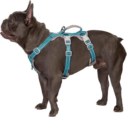 Huntboo No Escape Dog Harness, Escape Proof Harness, Fully Reflective Harness with Padded Handle, Breathable, Durable, Adjustable Vest for Medium Dogs Walking, Training, and Running Gear (Teal,M)