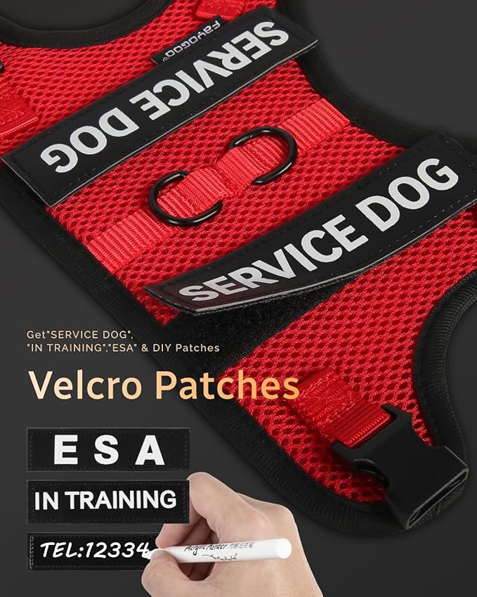 FAYOGOO Service Dog Vest for Small Dogs - Air Mesh Breathble Emotional Support Animal Vest with DIY Patches - Puppy Harness and Leash Set Adjustable Neck and Chest