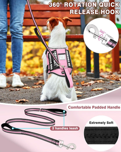 Service Dog Vest Harness and Leash Set+10 Patches for Puppy Small Dogs,Do Not Pet Emotional Support Dog Vest with 2 Soft Padded Handle for Everyday/Training (Pink XS)