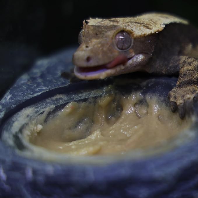 Crested Gecko Diet | Pineapple Crush | All Natural Low Fat Complete Gecko Food | 2.1oz