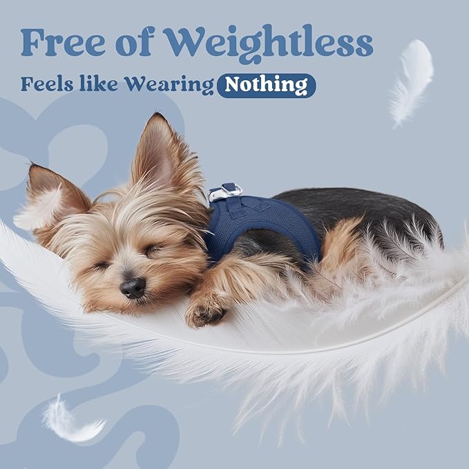 rabbitgoo Small Dog Harness, Step-in Soft Mesh Puppy Vest with Safety Buckle, Breathable Reflective Pet Harness for Small Medium Dogs, Navy Blue XL