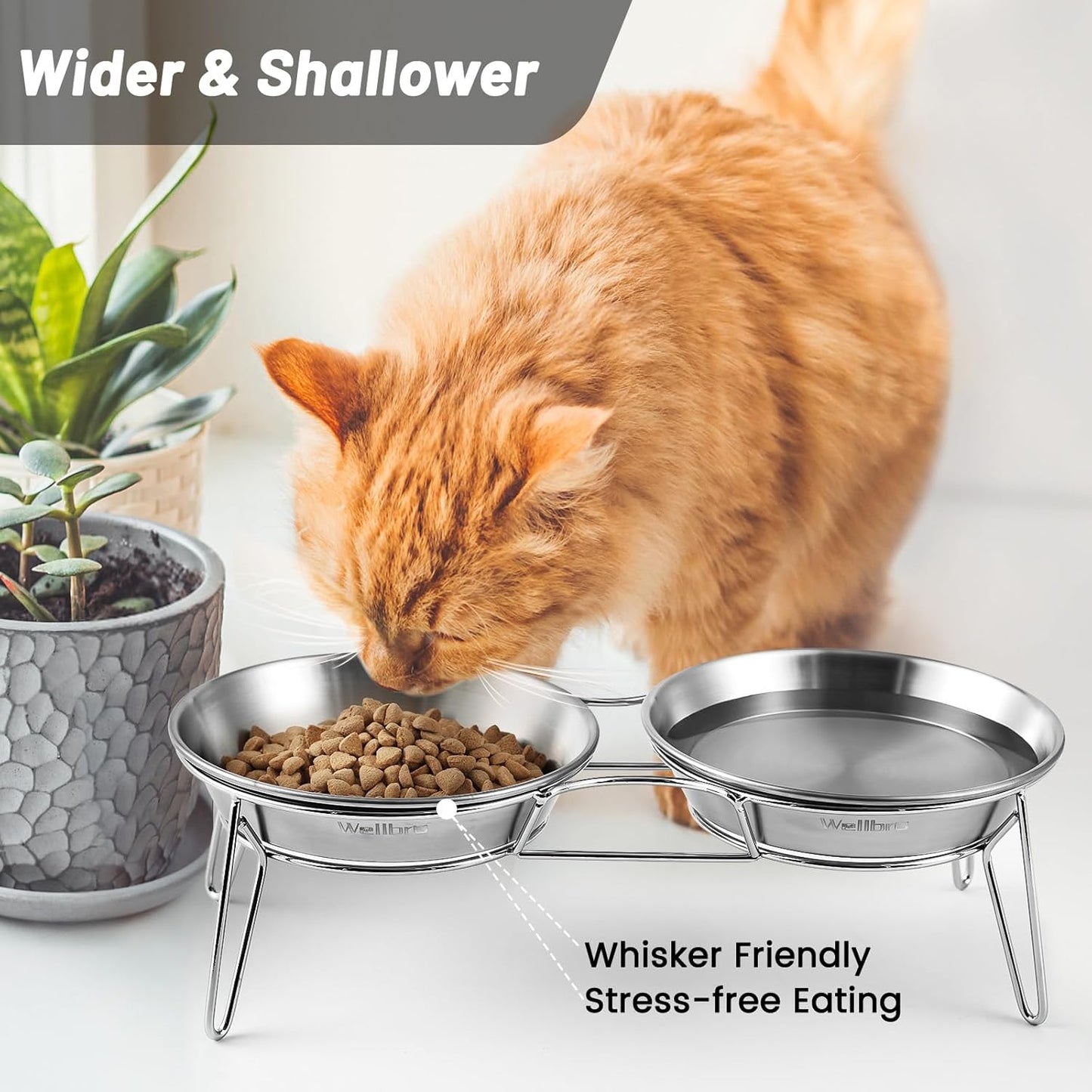 Elevated Cat Bowls, 5.9 Inch Wide Stainless Steel Cat Food Bowls with Metal Stand Whisker Stress-Free, Raised Food and Water Dish for Cats, Kitten
