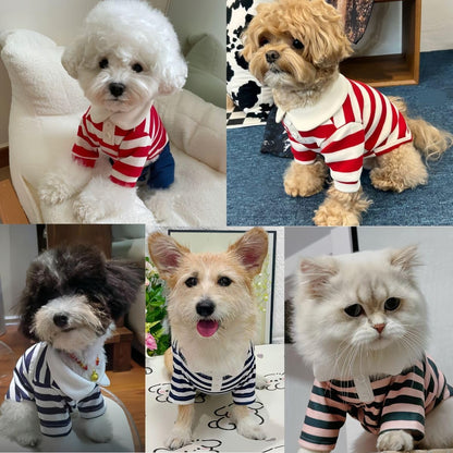 MANON ROSA Cute Dog Clothes Boy Dog Polo Shirt for Small Medium Dogs - Summer Male Puppy T Shirts for Yorkie Poodle Shih Tzu Dachshund Kittens, Striped Collared Pet Doggie Designer Outfits Red L