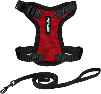 Voyager Step-in Lock Adjustable Cat Harness w. Cat Leash Combo Set with Neoprene Handle 5ft - Supports Small, Medium and Large Breed Cats by Best Pet Supplies - Red/Black Trim, S