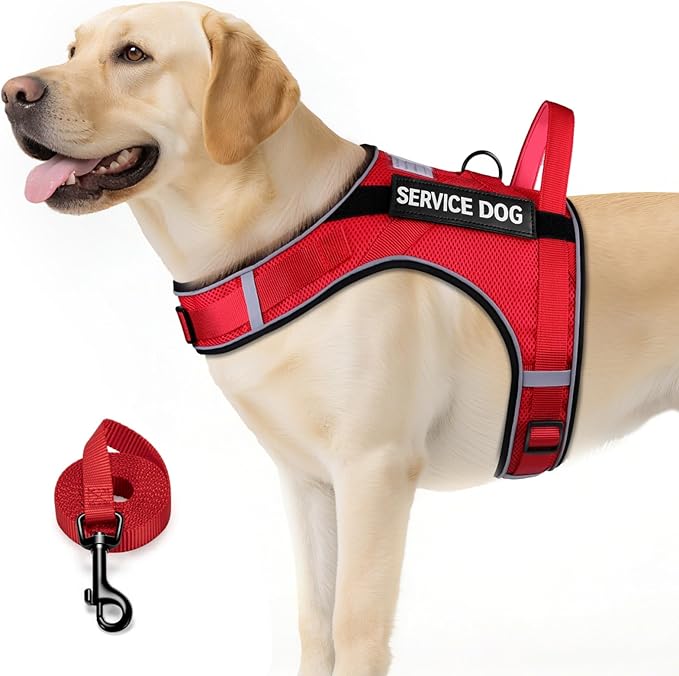 FAYOGOO Service Dog Vest for Large Dogs - Air Mesh Breathble Emotional Support Animal Vest with DIY Removable Patches - Dog Harness and Leash Set Adjustable Neck and Chest(Red,XXL)