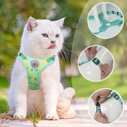 BEAUTYZOO Cat Harness and Leash Set Escape Proof, Small Cat Vest Harness for Walking, Adjustable Step in Kitten Harnesses for Travel, Soft Lightweight Outdoor Cute Kitten Harnesses, Pineapple S