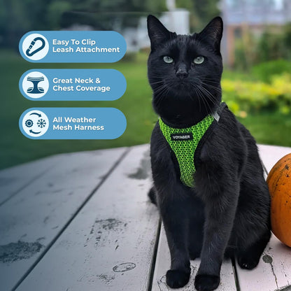 Best Pet Supplies Voyager Step-in Air Harness - All Weather Mesh, Reflective, No Pull Harness for Dogs, Cats - Secure with Hook & Loop Fastener, Buckle, Double D-Rings - Tone, S