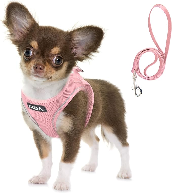 Fida Comfy Dog Harness with Leash, Soft Puppy Vest Escape Proof, Breathable Lightweight Soft Mesh, Adjustable Reflective Step-in Harness for Extra-Small Dogs (XS, Pink)