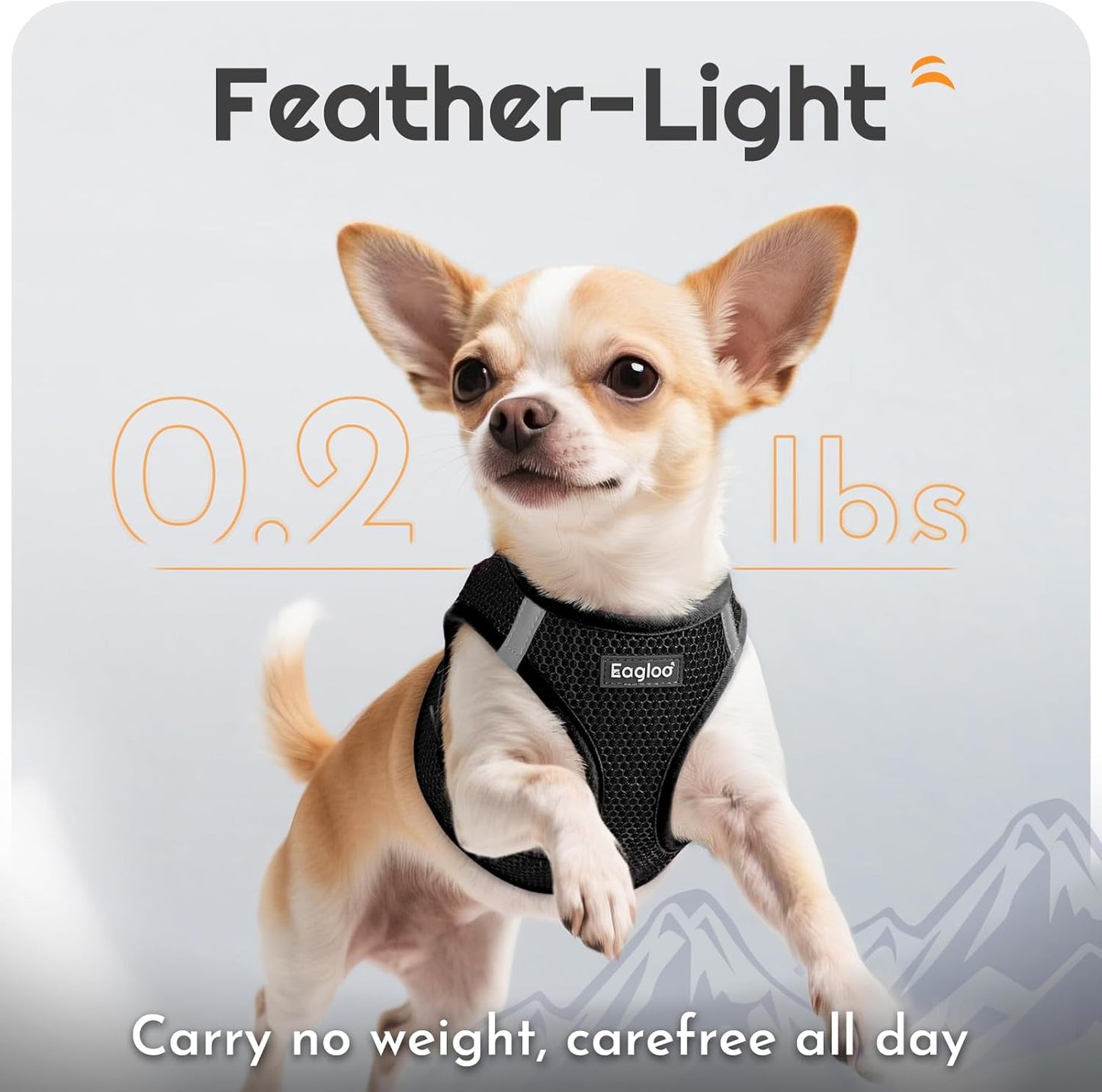 Eagloo Small Dog Harness and Leash Set, Step in Puppy Vest with Breathable Soft Mesh, Walking Reflective Pet Harness for Extra Small Dogs, Black, XXS