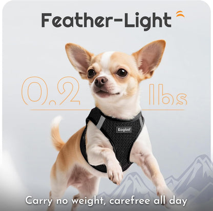 Eagloo Small Dog Harness and Leash Set, Step in Puppy Vest with Breathable Soft Mesh, Walking Reflective Pet Harness for Extra Small Dogs, Black, XXS