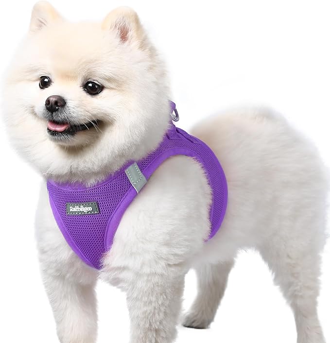 rabbitgoo Small Dog Harness, Step-in Soft Mesh Puppy Vest with Safety Buckle, Breathable Reflective Pet Harness for Small Sized Dogs, Purple S
