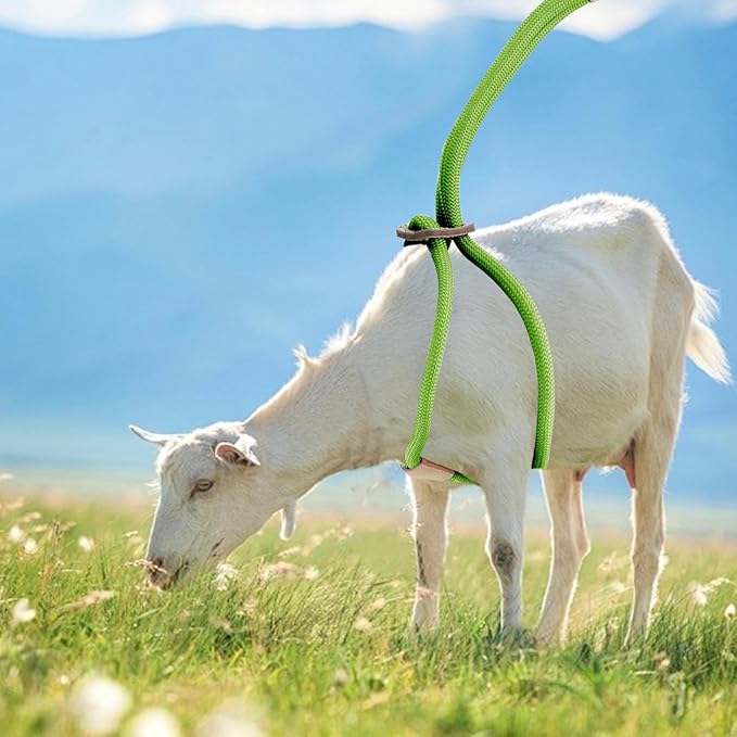 Goat Harness for Walking, Goat Supplies Accessories Washable Leash, Livestock Supplies for Sheeps