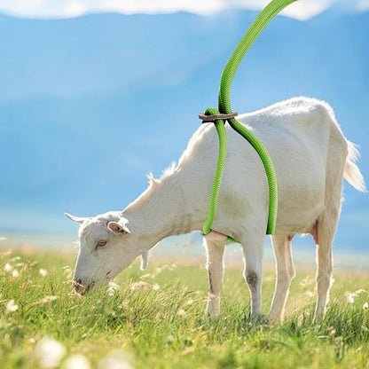 Goat Harness for Walking, Goat Supplies Accessories Washable Leash, Livestock Supplies for Sheeps