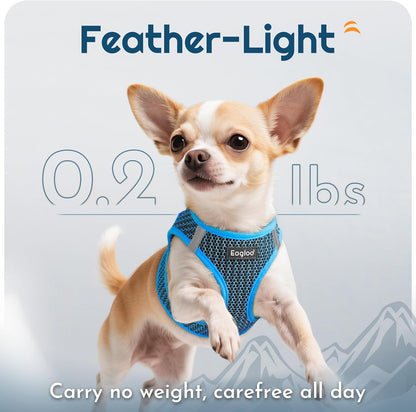 Eagloo Small Dog Harness and Leash Set, Step in Puppy Vest with Breathable Soft Mesh, Walking Reflective Pet Harness for Small Dogs, Blue, XS