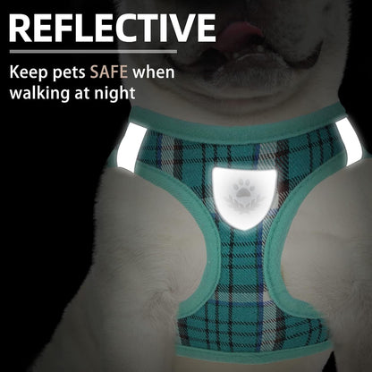 PUPTECK Adjustable Dog Harness Collar and Leash Set Step in No Pull Pet Harness for Small Medium Dogs Puppy and Cats Outdoor Walking Running, Soft Mesh Padded Reflective Vest Harnesses, Lake Green XS