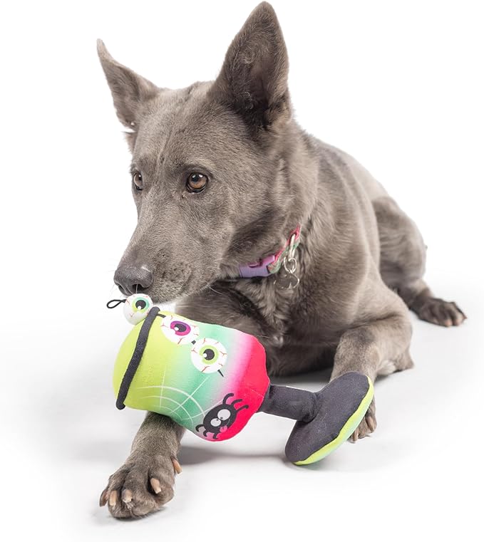 Huxley & Kent Funny Dog Toys w/ Squeaker & Crinkle - Stimulating & Interactive Chew Toy for Dogs - Mesh Lined Stuffed Dog Toy - Easy to Clean Doggie Toys for All Breeds (Witch's Potion,Small)