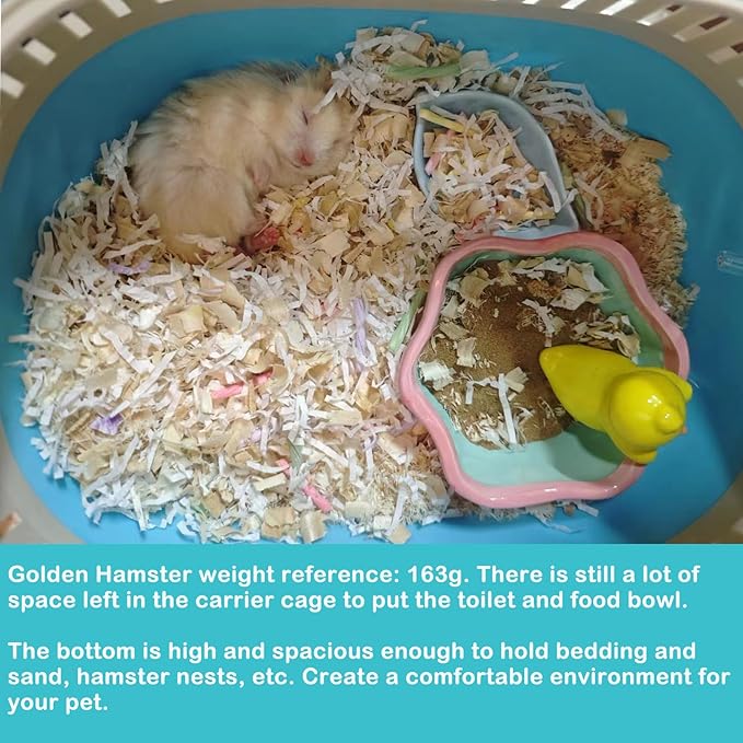 Hamster Carrier Guinea Pig Carrier 13 X 11 X 8 In Portable Hamster Travel Cage with Ventilation Holes Outdoor Small Animal Carrier for Rat Gerbils Rabbit Hedgehog Squirrel Mouse Sugar Glider