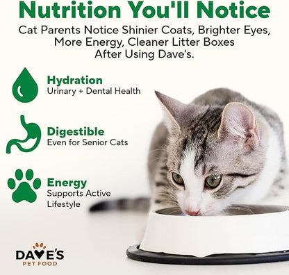 Dave's Pet Food Grain Free Wet Cat Food Pate (Chicken Formula), Made in USA Naturally Healthy Canned, Added Vitamins & Minerals, 5.5 oz Cans (24 Pack)