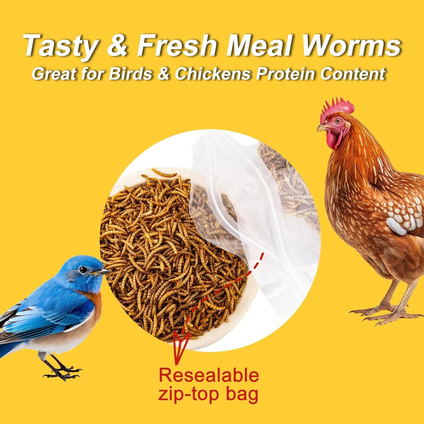 RANZ 10LBS Non-GMO Dried Mealworms for Chickens, High Protein Meal Worms, Premium Chicken Feed, Perfect Bird Food and Chicken Treats, Whole Large Mealworms for Wild Birds, Ducks, Fish