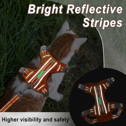 Cat Harness and Leash Set for Walking Escape Proof for Small Large cat Kitten Harness with ID tag Pocket (Orange,XS)