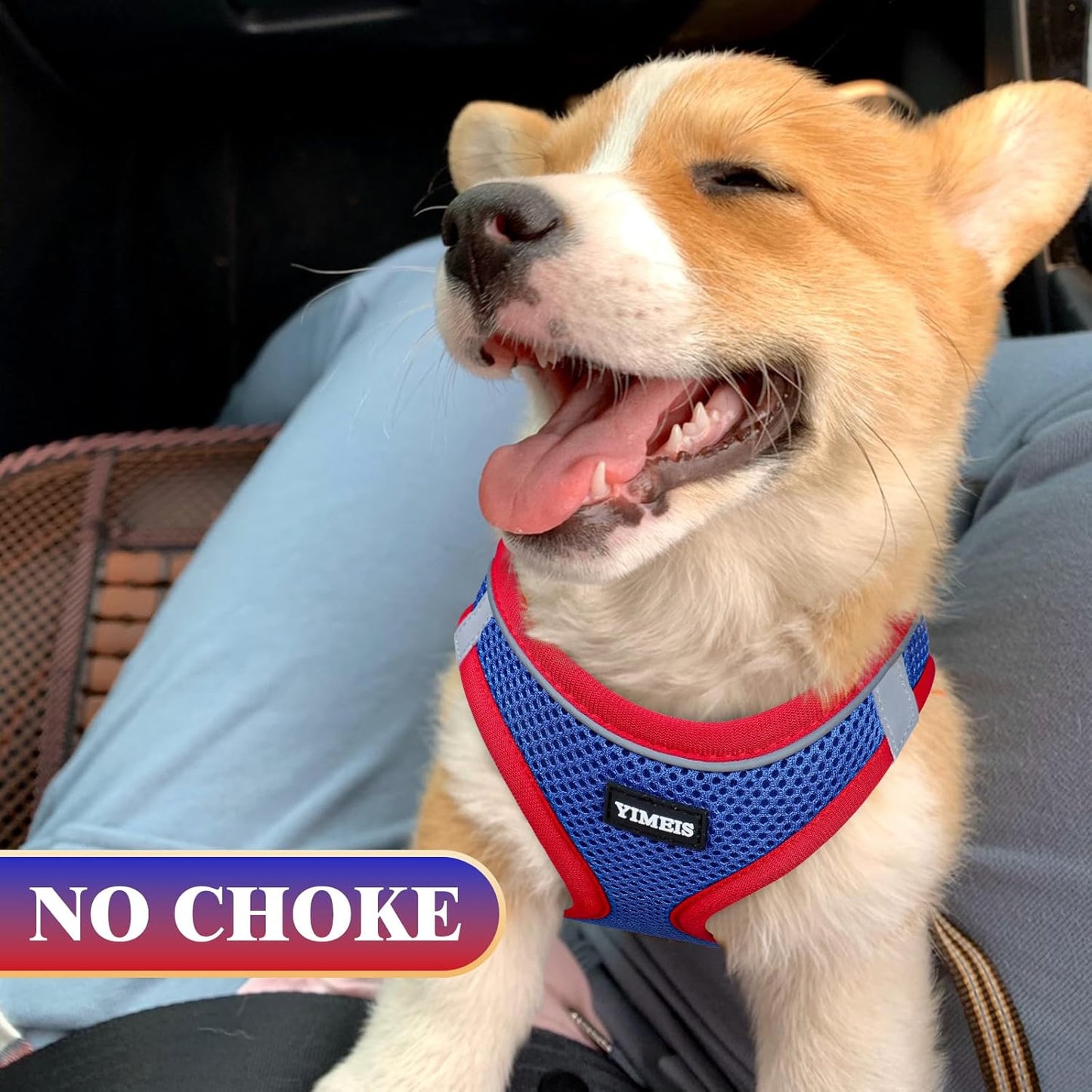 YIMEIS Dog Harness and Leash Set, No Pull Soft Mesh Pet Harness, Reflective Adjustable Puppy Vest for Small Medium Large Dogs, Cats (Red & Blue, Medium (Pack of 1)