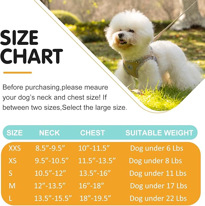 Dog Harness and Leash Set - No Pull Soft Breathable Small Dog Harness, Adjustable Reflective Step in Vest for Puppy, Kitten, Cats