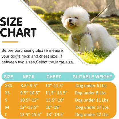 Dog Harness and Leash Set - No Pull Soft Breathable Small Dog Harness, Adjustable Reflective Step in Vest for Puppy, Kitten, Cats