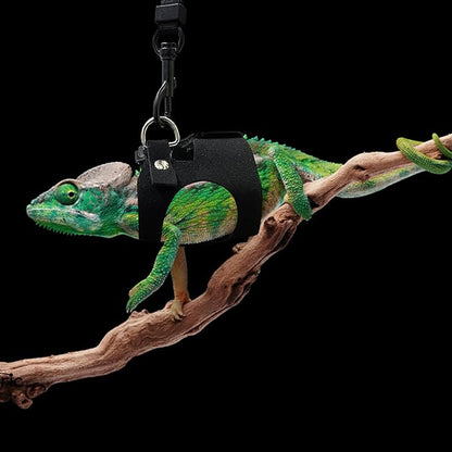 Bearded Dragon Harness and Leash Set, 3 Size Adjustable Soft Leather Reptile Leash, Lizard Harness with Retractable, Small Animal Outdoor Walking Vest with Traction Rope, 3 Pack, Black