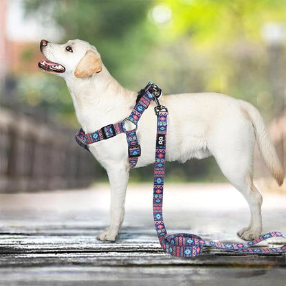 QQPETS Dog Harness Leash Set Adjustable Heavy Duty No Pull Halter Harnesses for Small Medium Large Breed Dogs Back Clip Anti-Twist Perfect for Walking