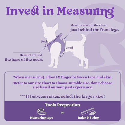 rabbitgoo Small Dog Harness, Step-in Soft Mesh Puppy Vest with Safety Buckle, Breathable Reflective Pet Harness for Small Sized Dogs, Purple S