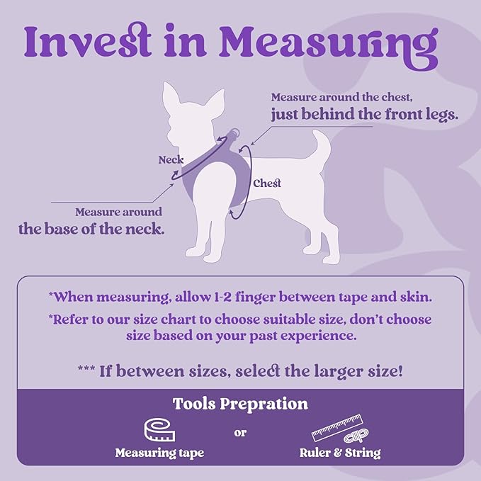 rabbitgoo Small Dog Harness, Step-in Soft Mesh Puppy Vest with Safety Buckle, Breathable Reflective Pet Harness for Small Sized Dogs, Purple M